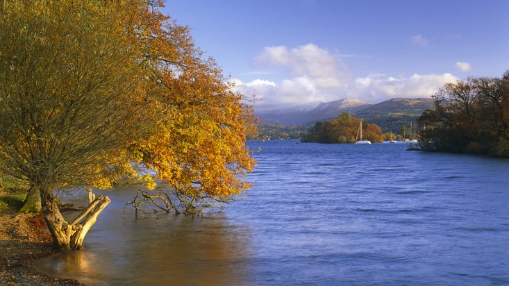 View over the water on the Claife Estate on the western shore of Windermere, Lake District